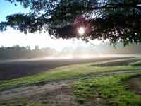 Sunrise on the Farm